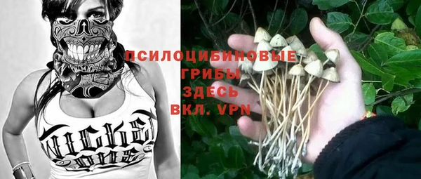 МДПВ Абинск
